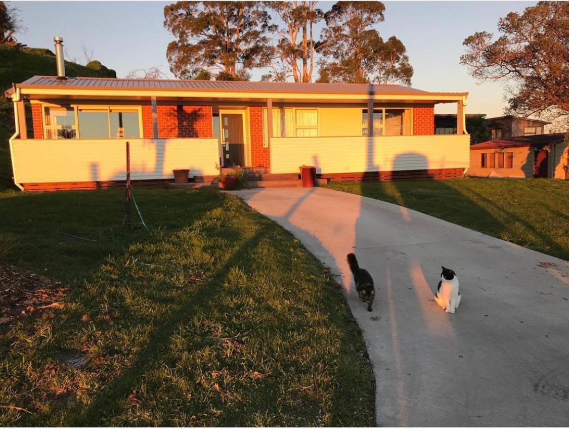 Rotorua Lakes Cottage Екстер'єр фото