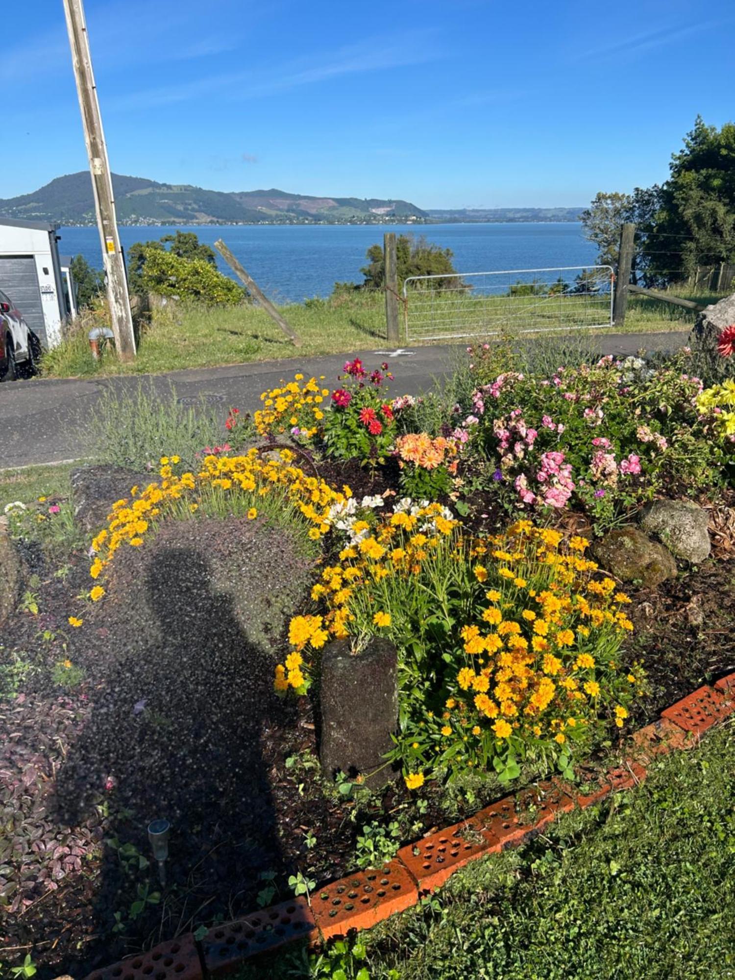 Rotorua Lakes Cottage Екстер'єр фото